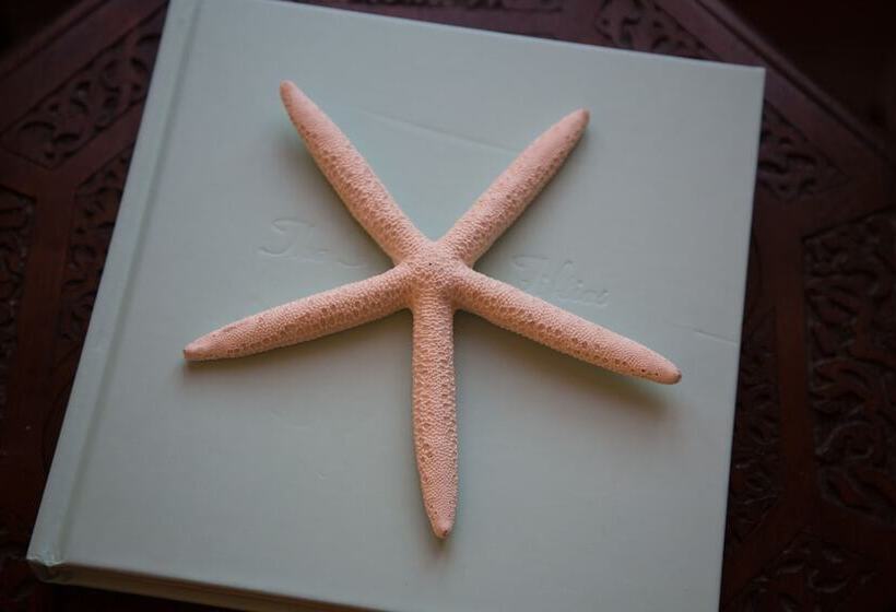 Отель Casa Del Mar