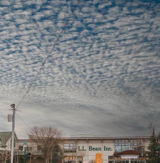 فندق Casco Bay Inn