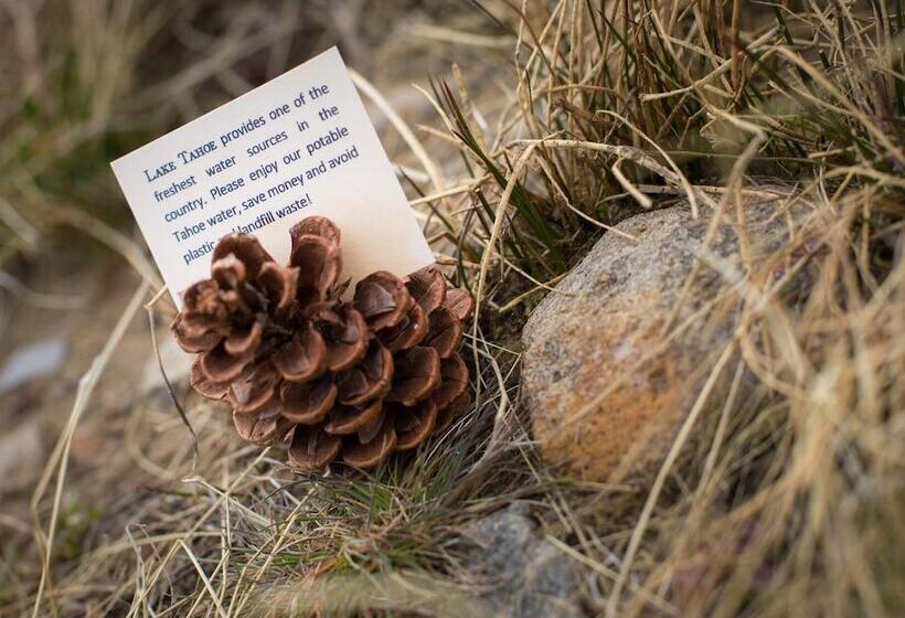 Отель Cedar Glen Lodge