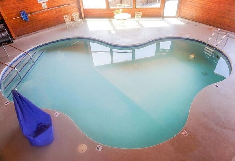 فندق Cedar Motor Inn