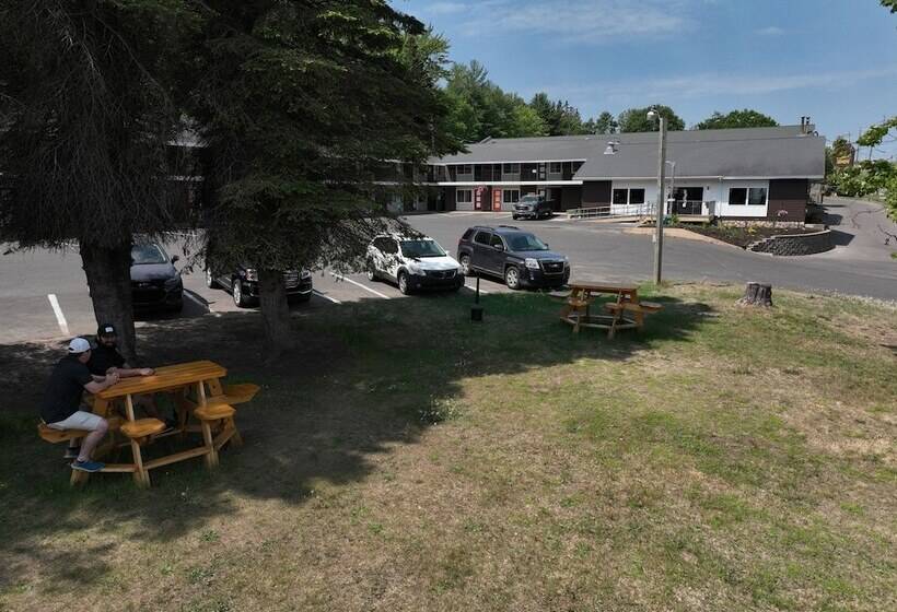 فندق Cedar Motor Inn