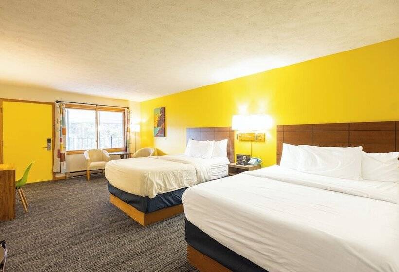 فندق Cedar Motor Inn