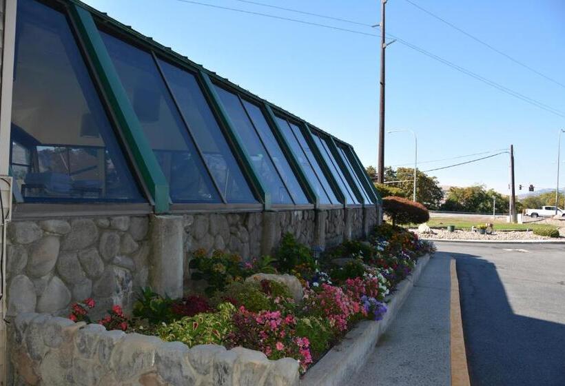 ホテル Cedars Inn