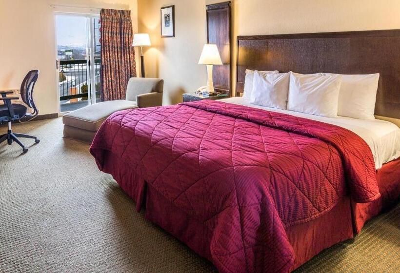 ホテル Cedars Inn