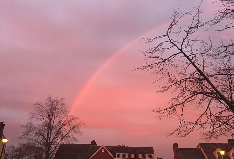 فندق Century Suites