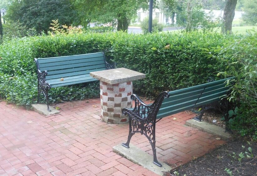 فندق Century Suites