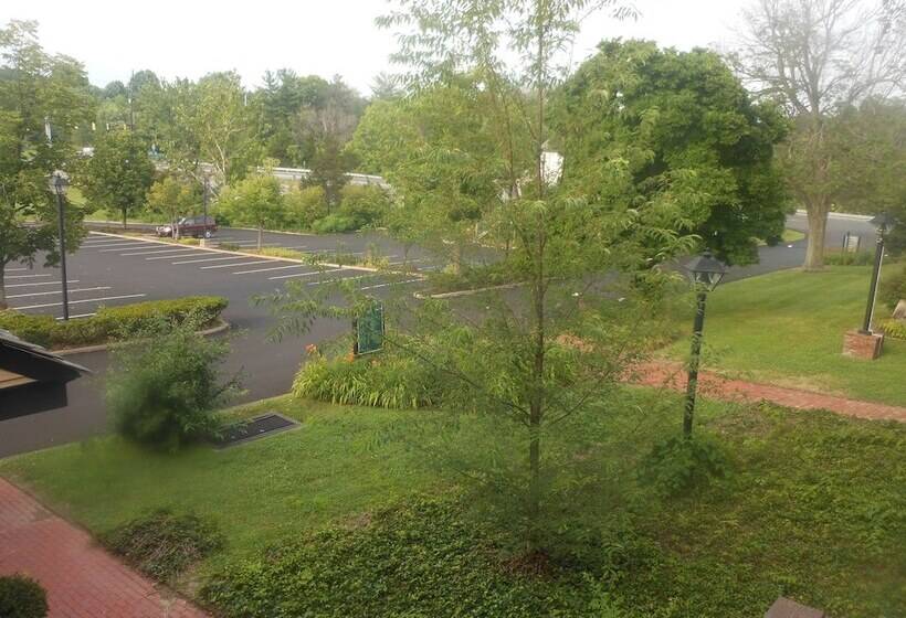 فندق Century Suites