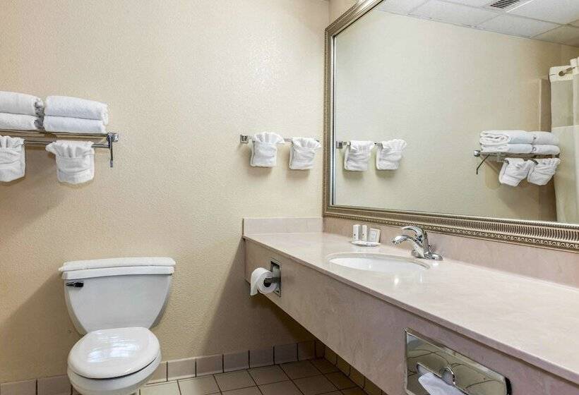 Отель Clarion Inn & Suites Northwest