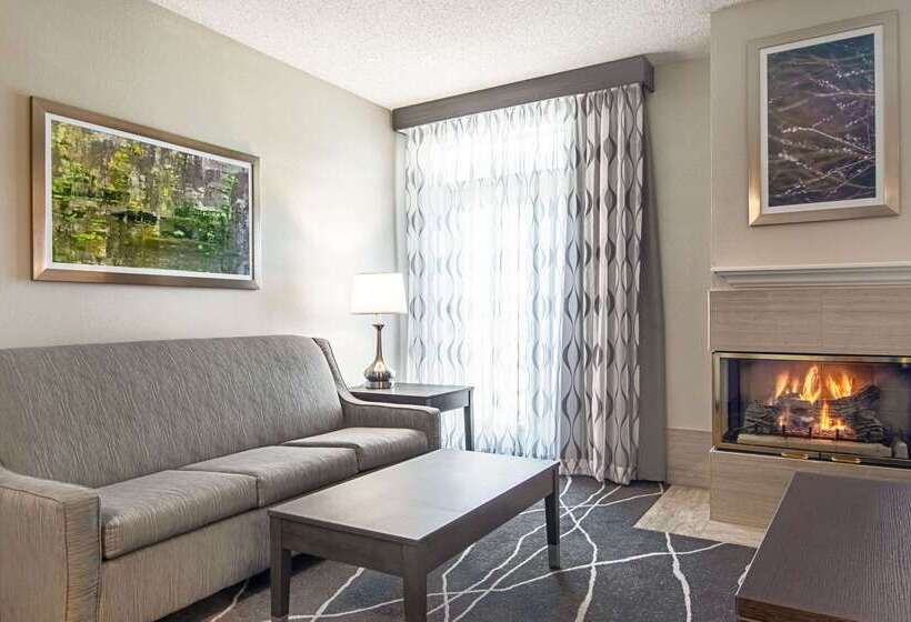 هتل Clarion Inn Willow River