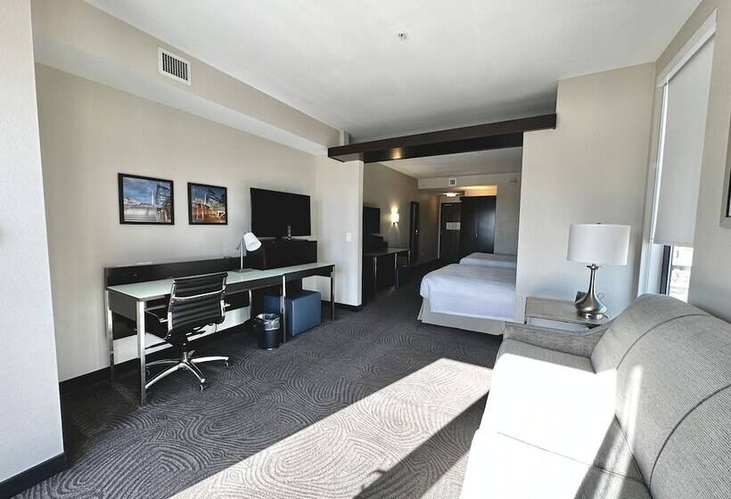 Отель Fairfield Inn & Suites By Marriott Denver Downtown