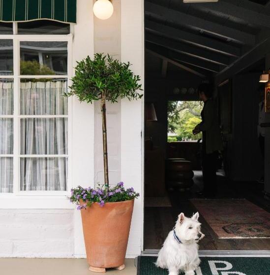 ホテル Le Petit Pali At Ocean Ave