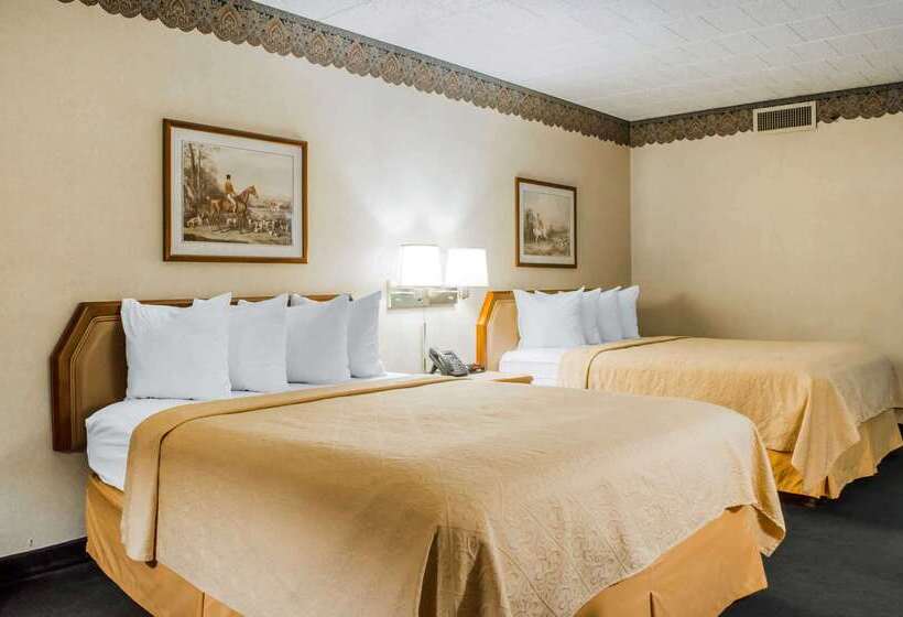 ホテル Quality Inn & Suites