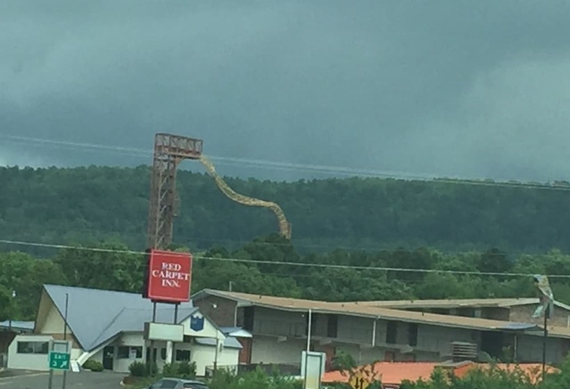 ホテル Red Carpet Inn