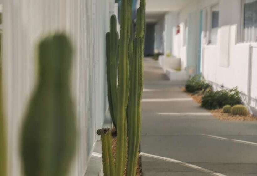 בית מלון כפרי The Skylark, A Palm Springs