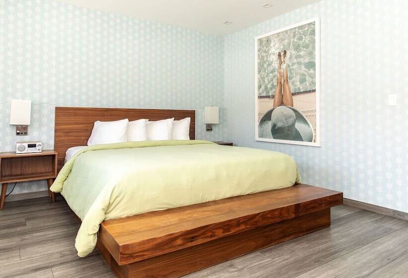 בית מלון כפרי The Skylark, A Palm Springs