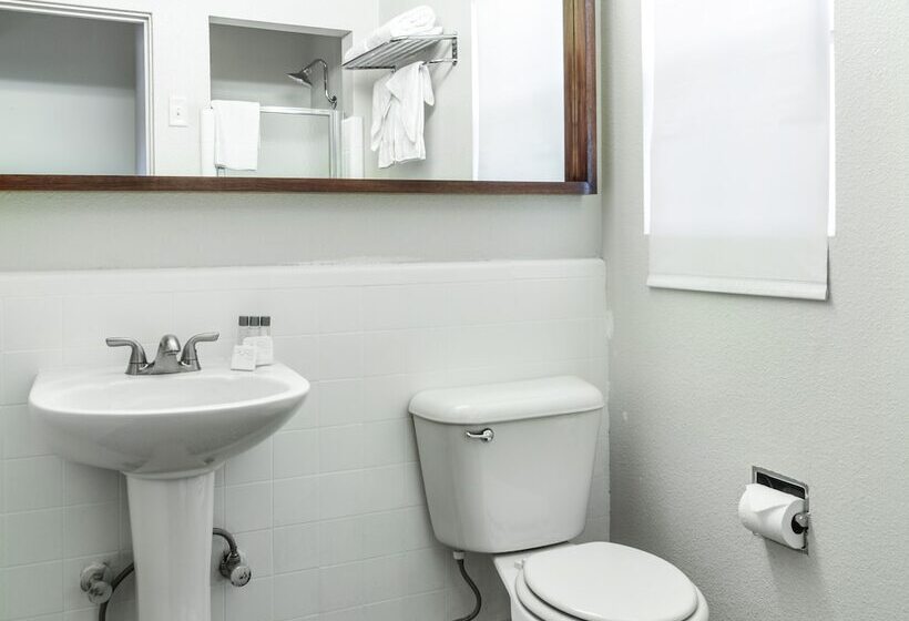 בית מלון כפרי The Skylark, A Palm Springs