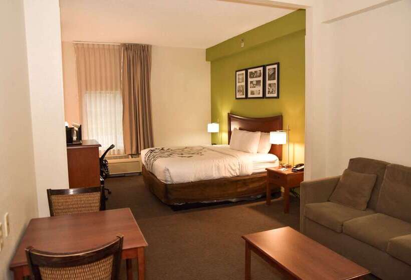 Отель Sleep Inn & Suites