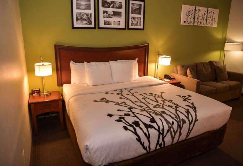 Отель Sleep Inn & Suites