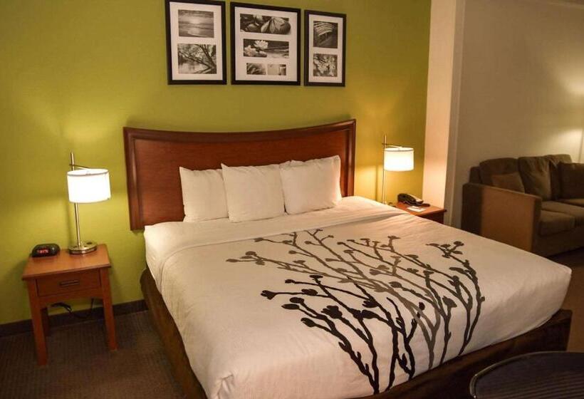 Отель Sleep Inn & Suites