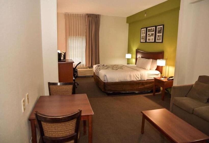 Отель Sleep Inn & Suites