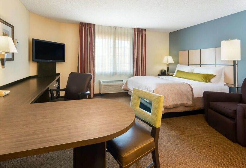 ホテル Sonesta Simply Suites Arlington