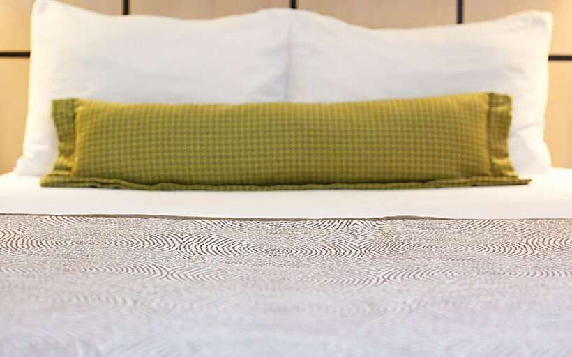 酒店 Sonesta Simply Suites Charlotte University