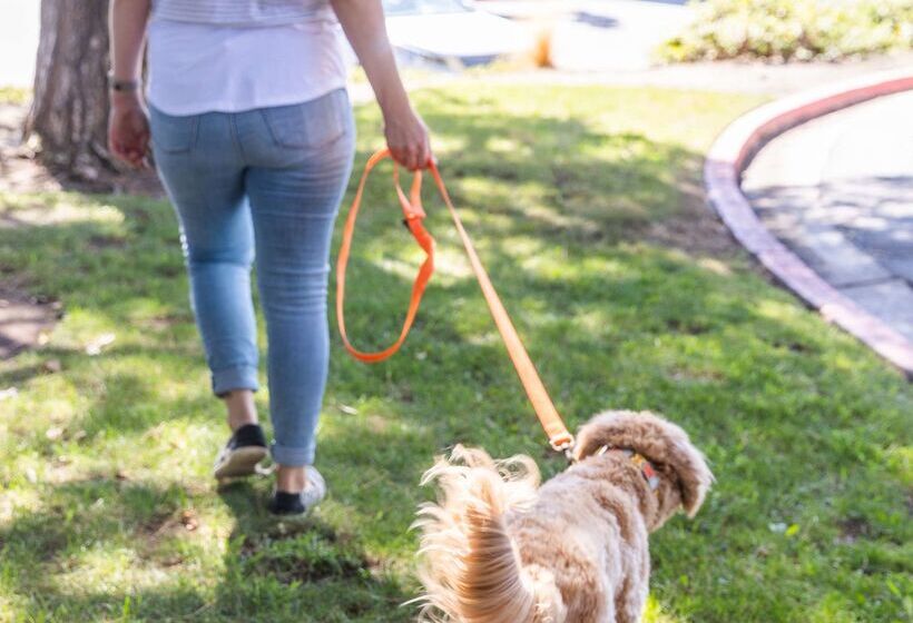 فندق Sonesta Simply Suites Irvine East Foothill