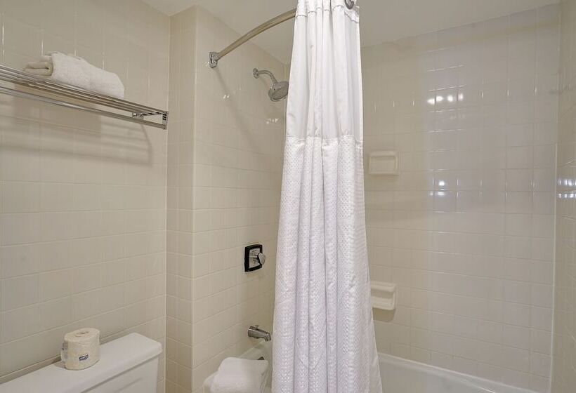 酒店 The Clarkson Inn