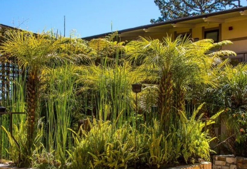 ホテル Tradewinds Carmel