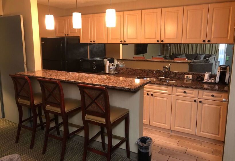 Отель Wyndham Garden Ann Arbor