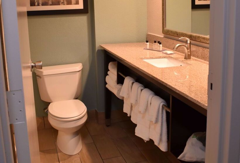 Отель Wyndham Garden Ann Arbor