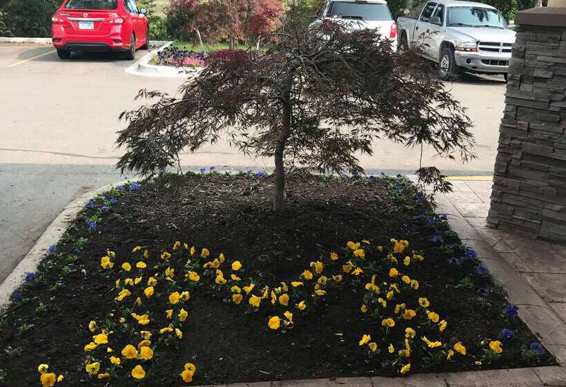 Отель Wyndham Garden Ann Arbor