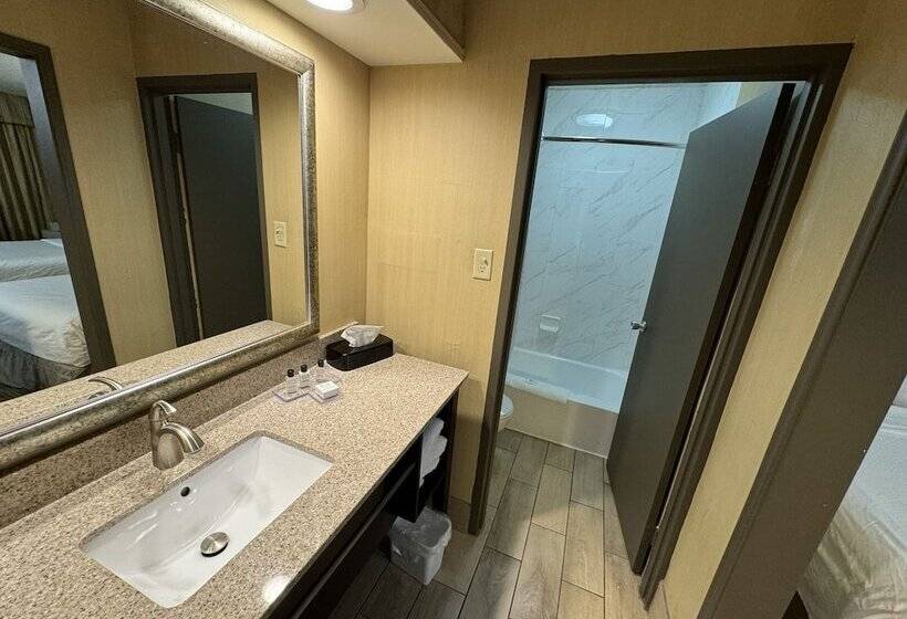 Отель Wyndham Garden Ann Arbor