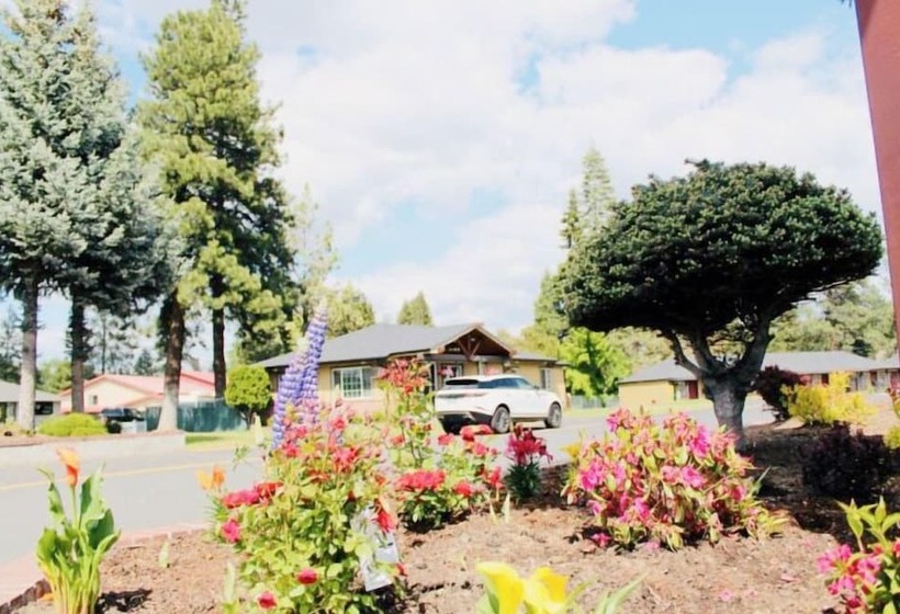 فندق على الطريق Cascade Lodge