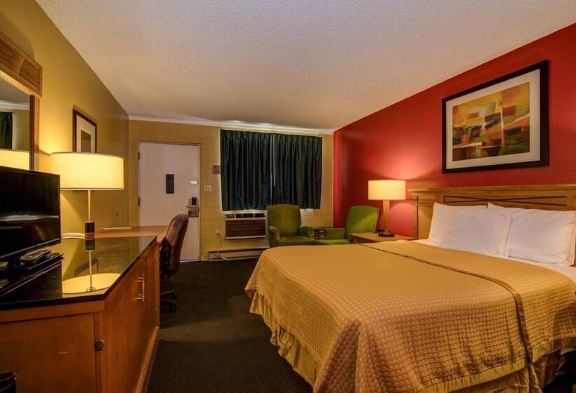 汽车旅馆 Cedar Lodge