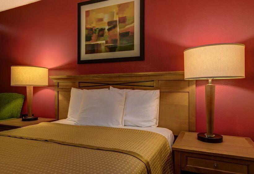 汽车旅馆 Cedar Lodge