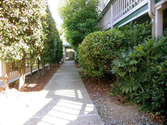 فندق على الطريق Cedarwood Inn Of Ashland