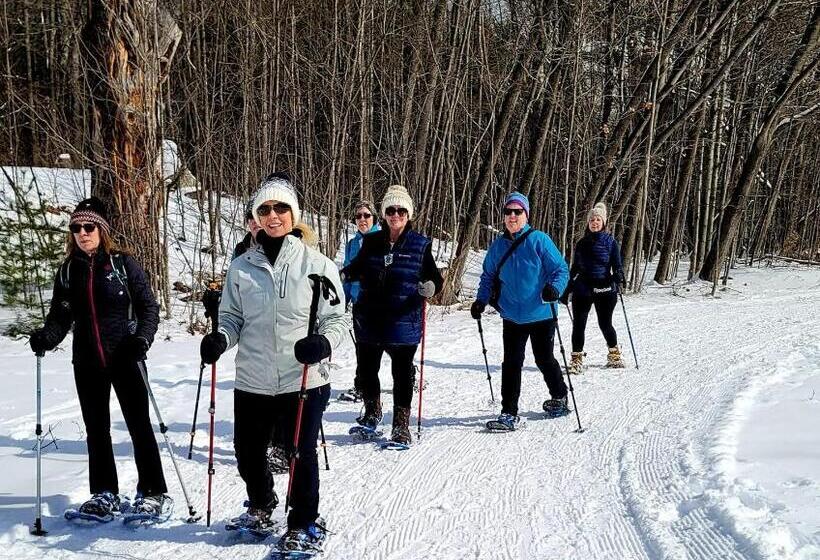 汽车旅馆 Starlight Lodge North Conway