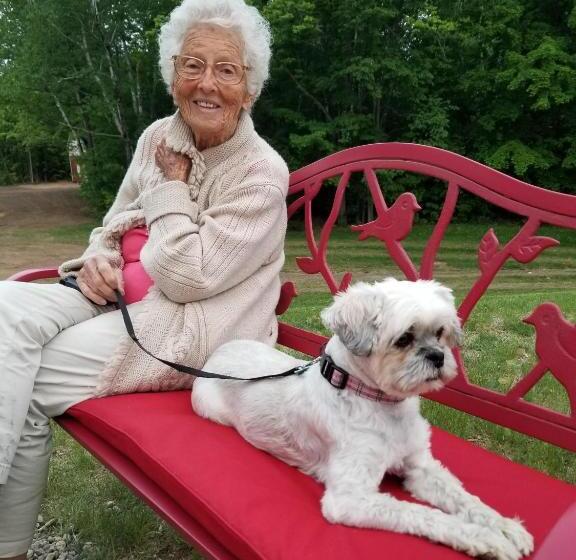 汽车旅馆 Starlight Lodge North Conway