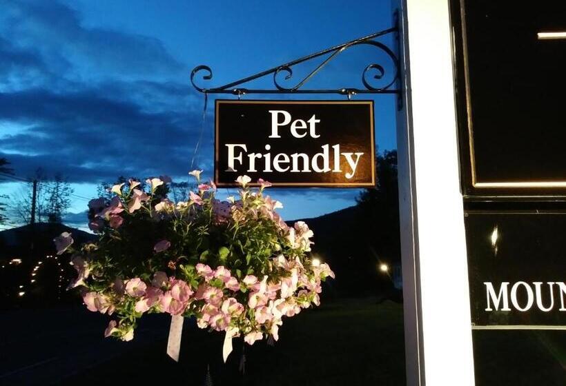 汽车旅馆 Starlight Lodge North Conway