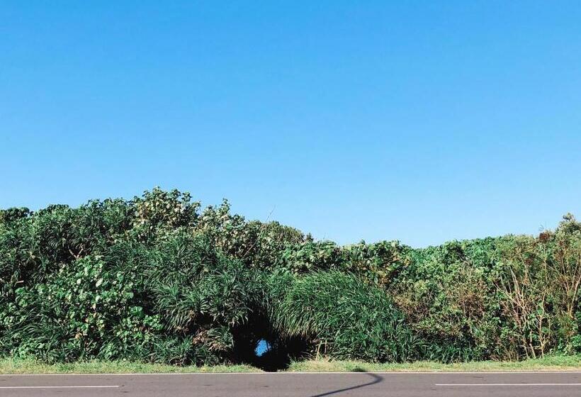 تختخواب و صبحانه 墾點心 Kenting Dessert 背包民宿