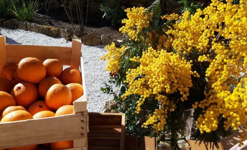 住宿加早餐 La Dolce Vita Opio