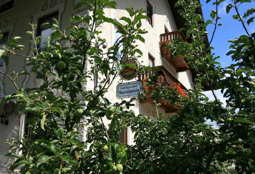 호텔 Landgasthof Auerschmiede