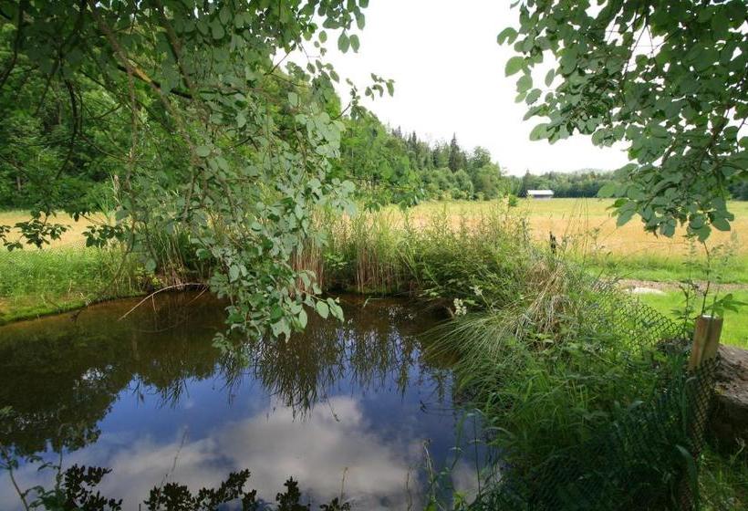 호텔 Landgasthof Auerschmiede