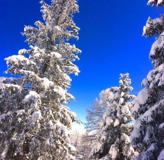 בית מלון כפרי Rifugio Dosso Larici