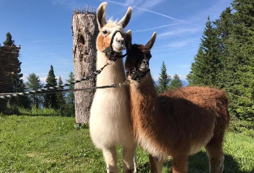 فندق Rifugio Dosso Larici