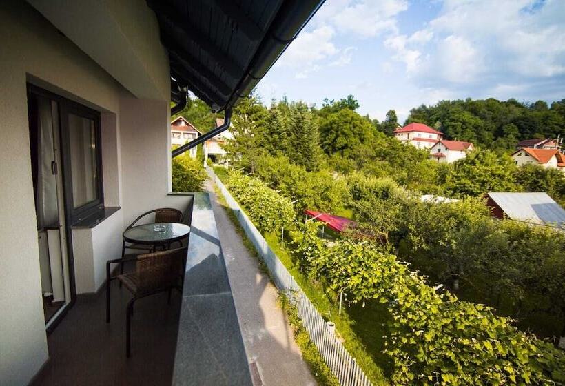 Отель Subcarpati