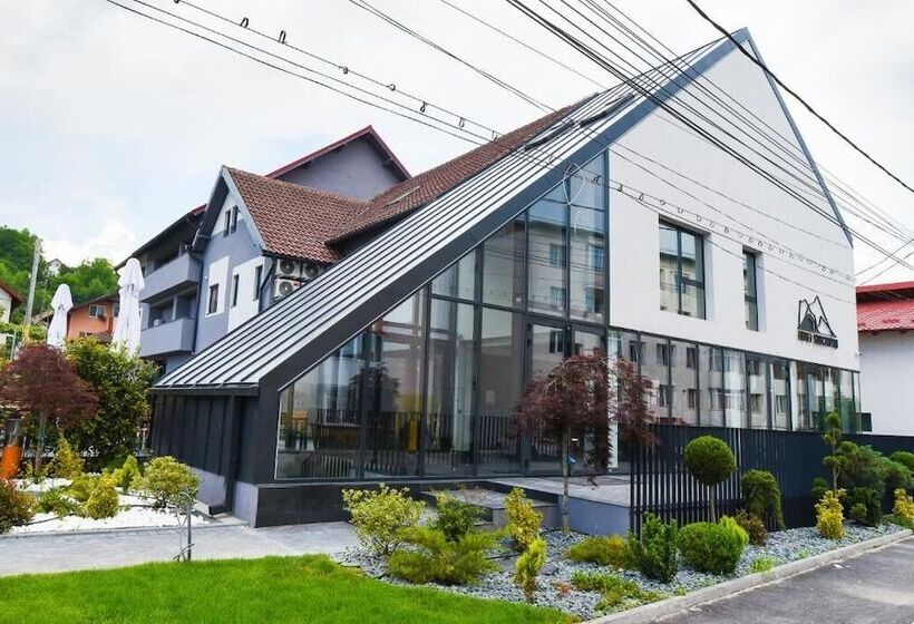 Отель Subcarpati