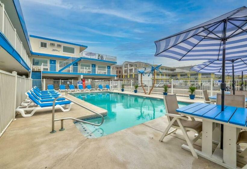 Отель The Blue Marlin Resort