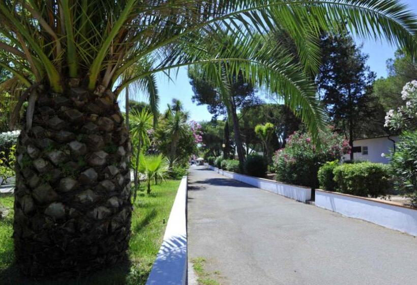 Курорт Apartment Type D